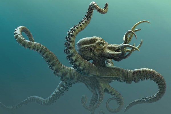 Kraken зайти на сайт