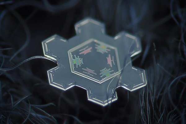 Kraken 14 at сайт