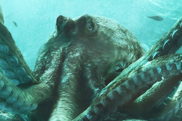 Официальный сайт kraken kraken clear com