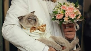 Кракен сыл ссылка